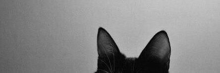 danimeshh's profile banner image