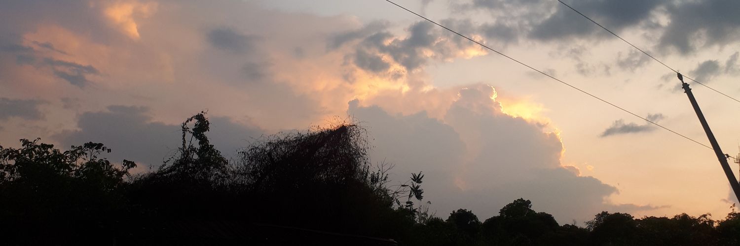 Anaisfh's profile banner image