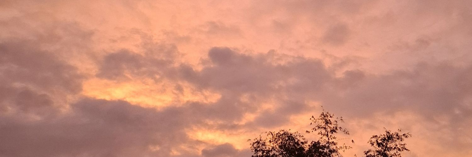 aevlflyn's profile banner image