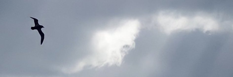 M_i_j28's profile banner image