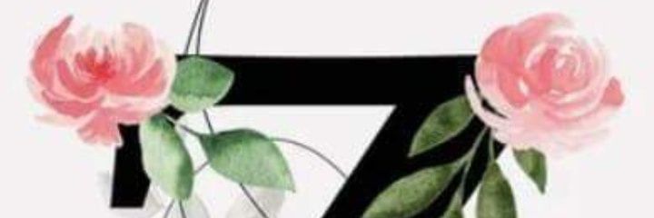Barbara Armada banner