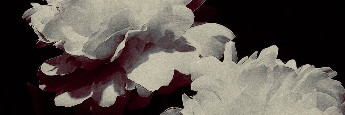 ‍ ‍ ‍ ‍◞ ☽. banner