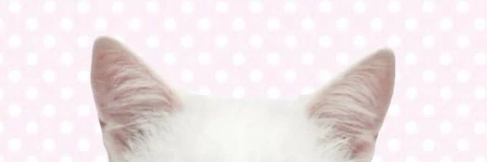 julesruleszz's profile banner image