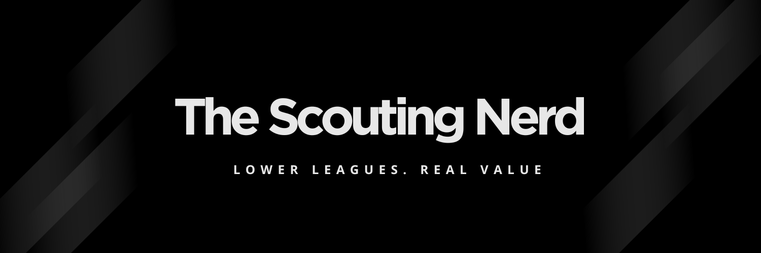 The Scouting Nerd⚽ banner