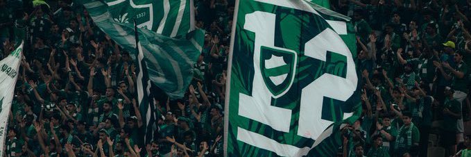 شامي السيد banner