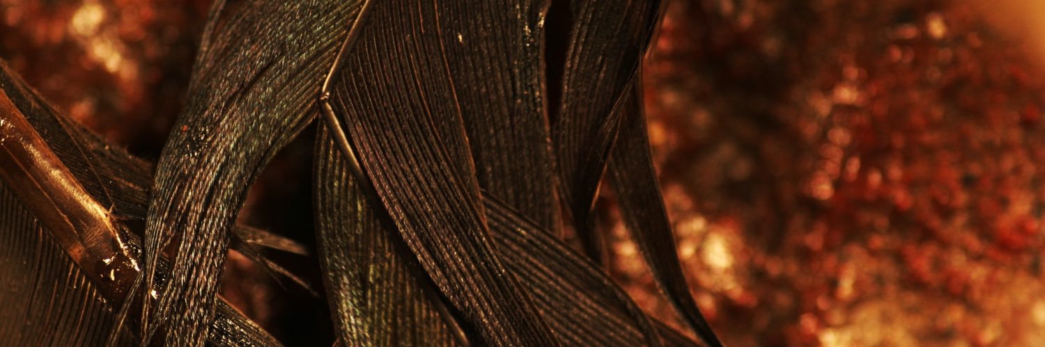CBesnier's profile banner image