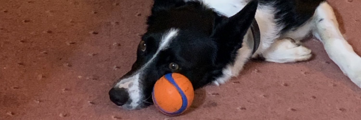 Beckie Marshall banner