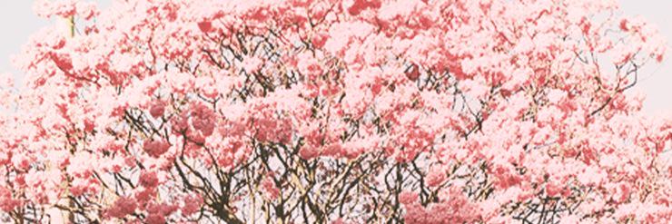 theresiazene's profile banner image