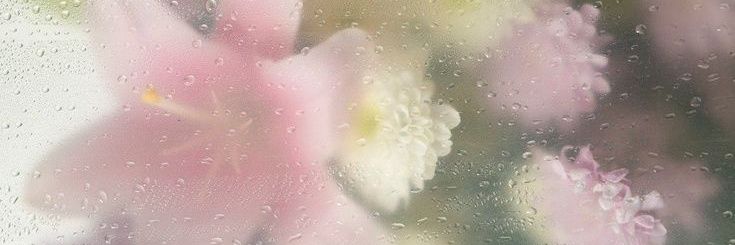 mimi banner