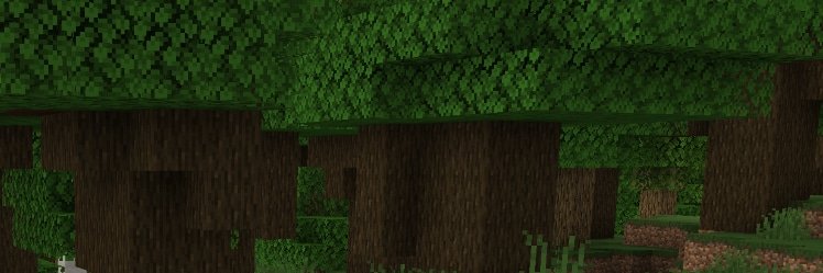 Vynsara's profile banner image