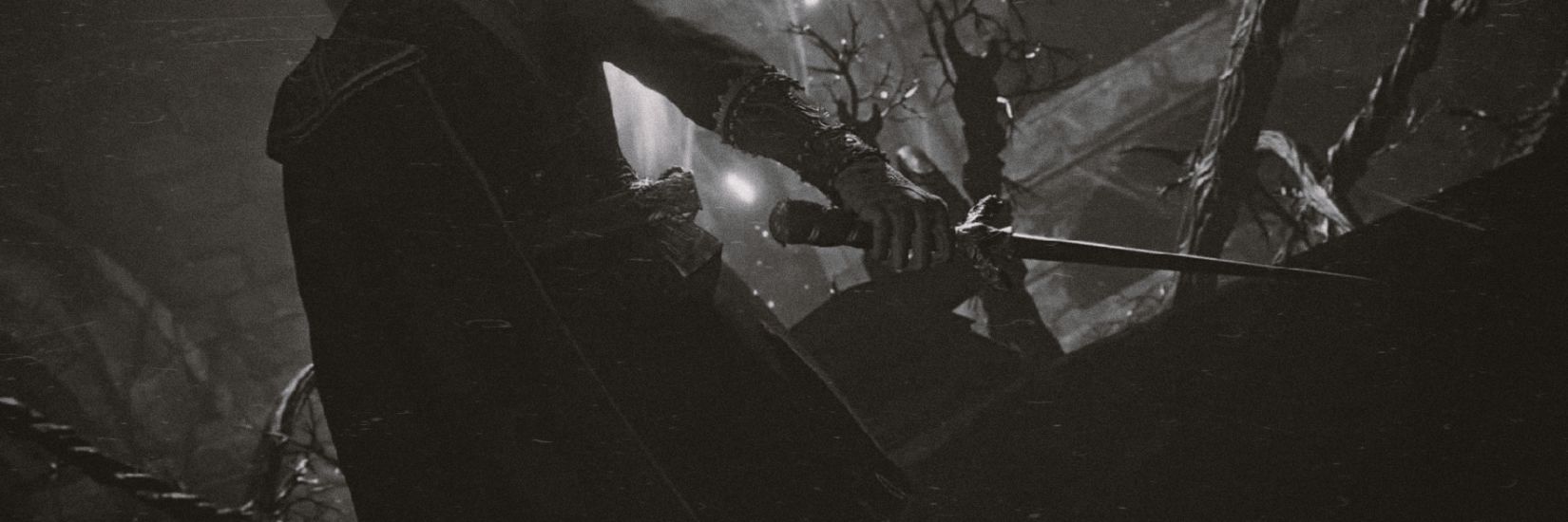 𝘼𝙫𝙚𝙡𝙞𝙣𝙚 banner