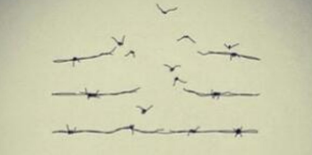 palestrinha banner