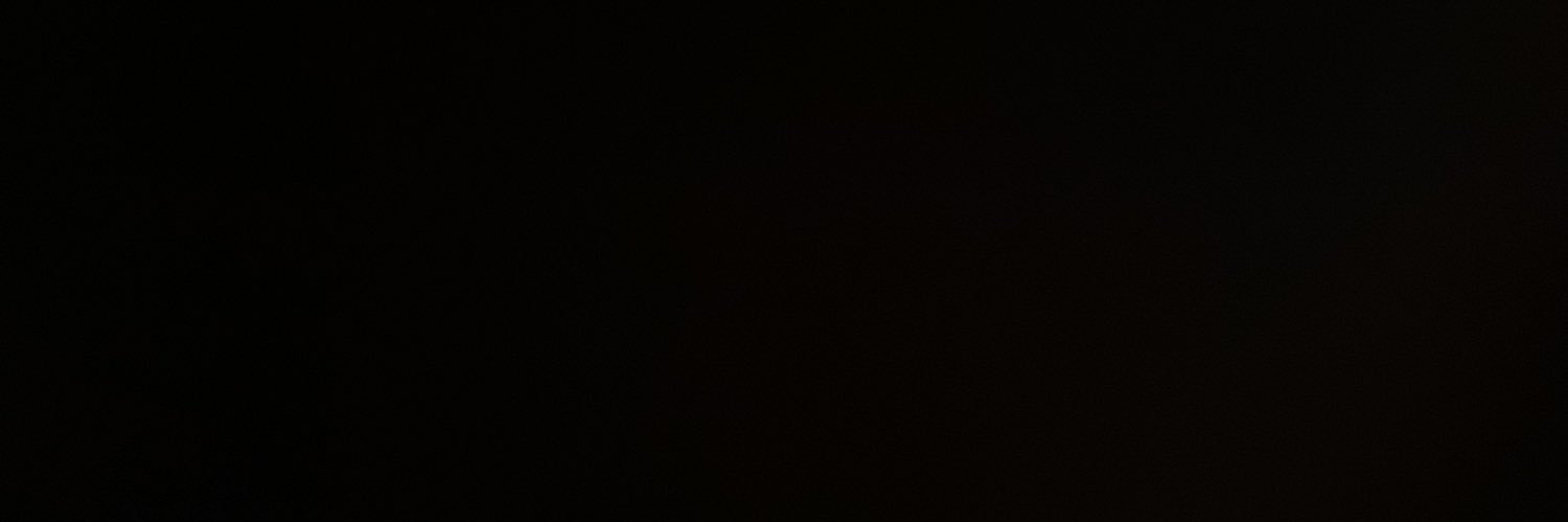 leot19131's profile banner image