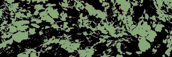 ‍ ‍ ‍ ‍ ‍‍ ‍ 𝐓𝐇𝕽𝐄𝐒͢𝐇͢𝐀 banner