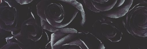 Martell_McFly's profile banner image