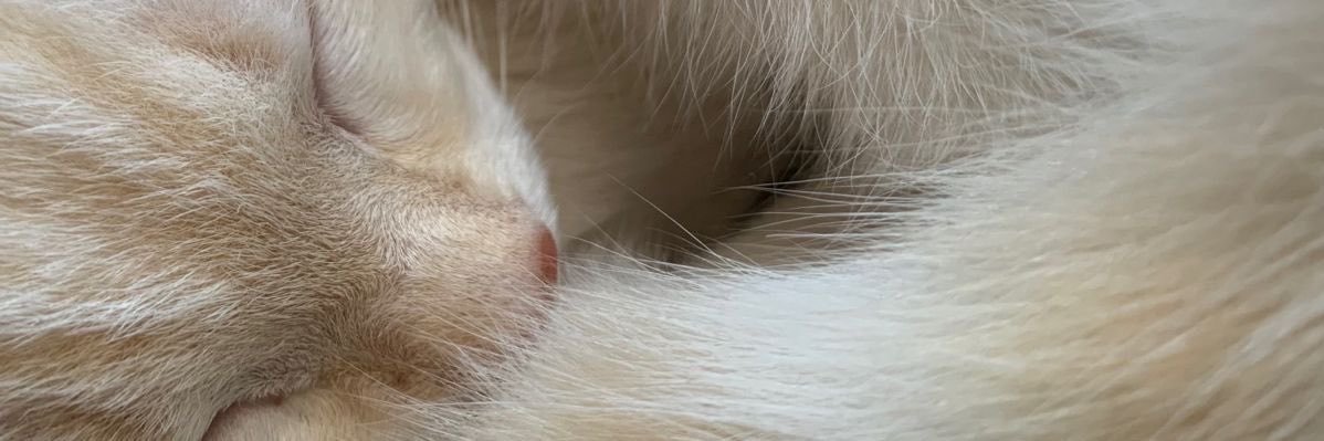 airwon006's profile banner image