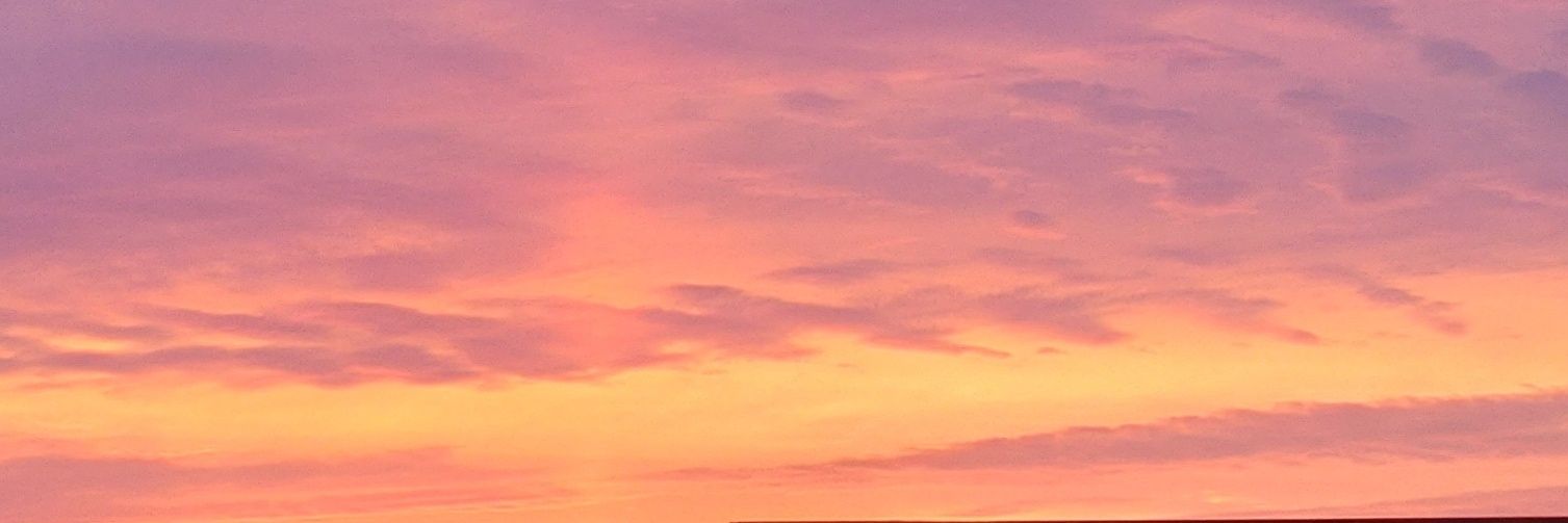 capejasmine4's profile banner image