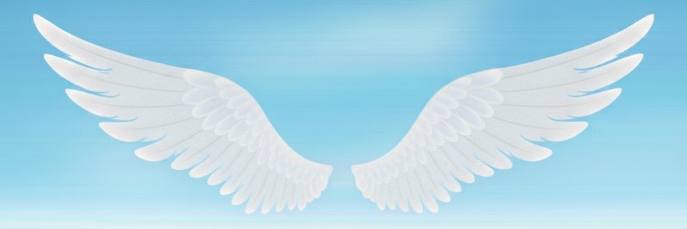 piviq_'s profile banner image