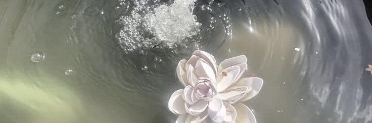 winteruuz's profile banner image