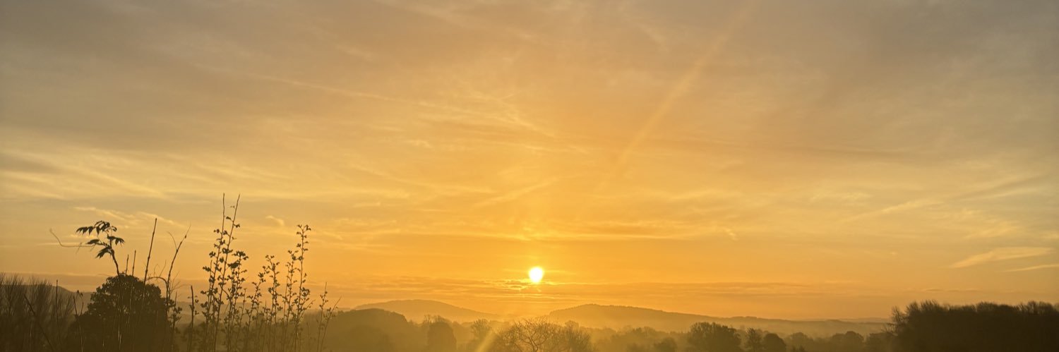 Sarah 🌳 banner