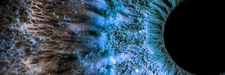 ChristopherAree's profile banner image