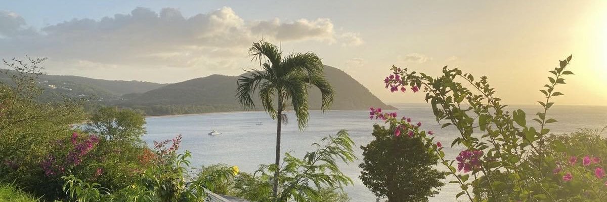 𝓏𝑒 𓆉𓂃 𓈒𓏸𓊝﹏ banner