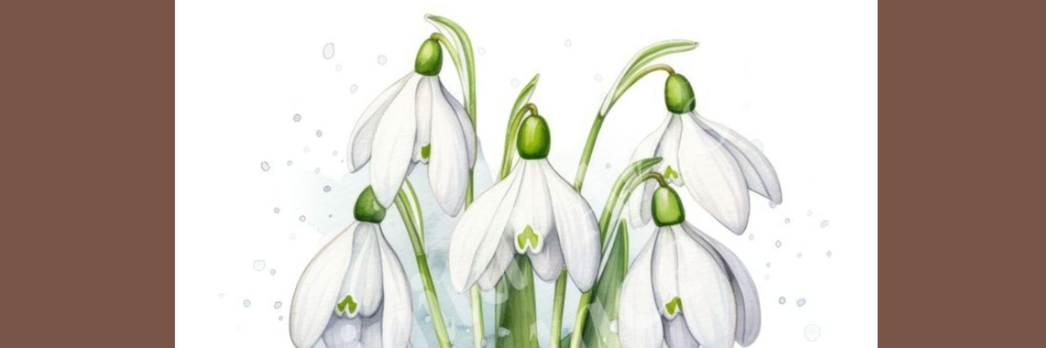 oldbearfan4ever's profile banner image