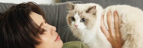 ≽ ^⎚ ˕ ⎚^ ≼ banner