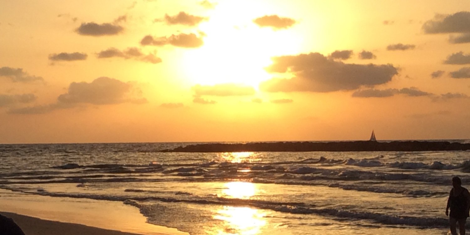 anniegm4's profile banner image