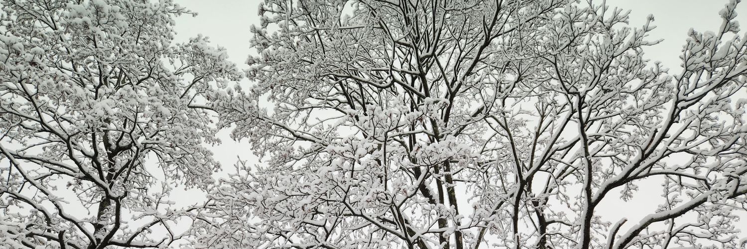 DrSteveB's profile banner image