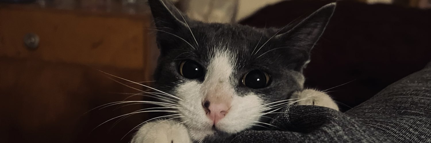 LulaGonzi's profile banner image