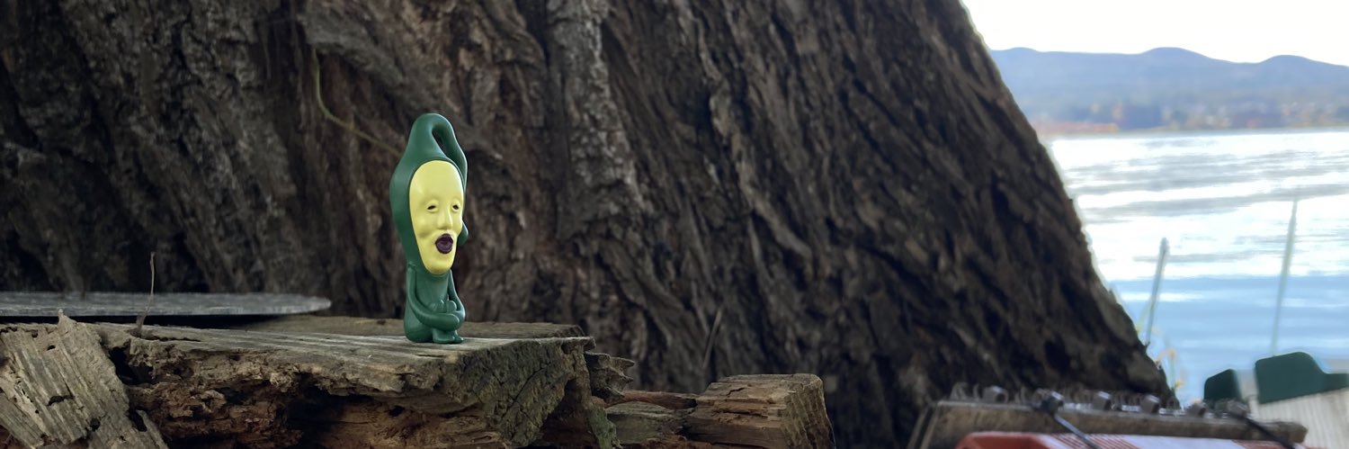 gelotwosocks's profile banner image