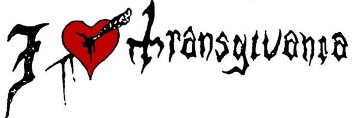 ⊹ ࣪ ˖ PELLE OF SHEDTWT .ᐟ banner