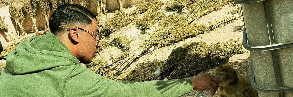 🇲🇦⭐️⭐️ banner