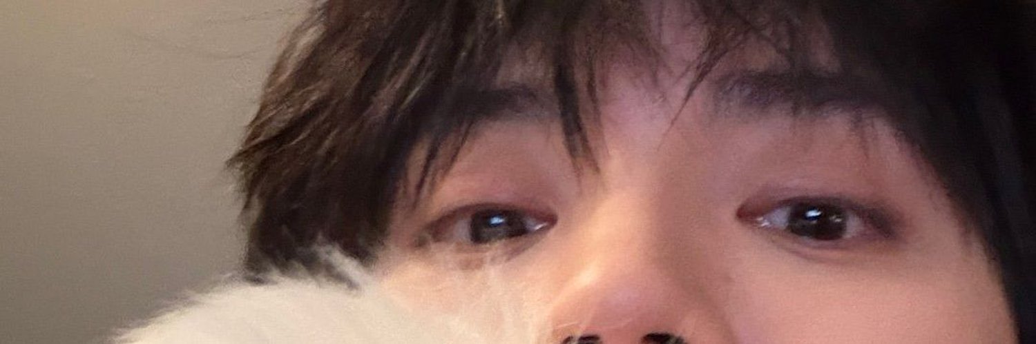 turtle2blue's profile banner image