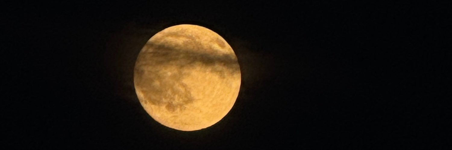 LuvUsSomeRayRay's profile banner image