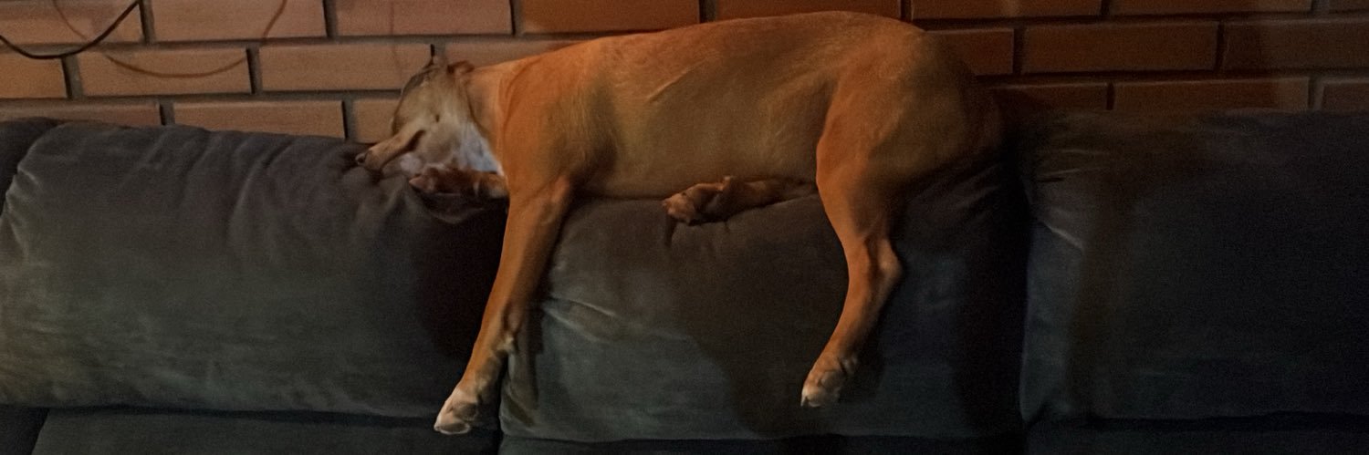 Christian Claudia banner