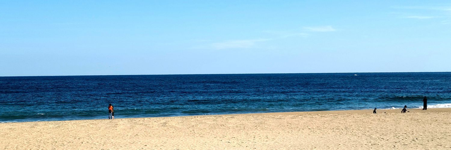 葵 banner