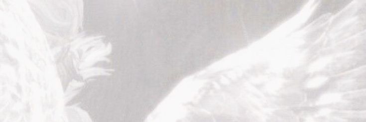 amy. — sh banner