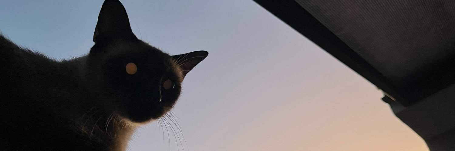 anaanicolay's profile banner image