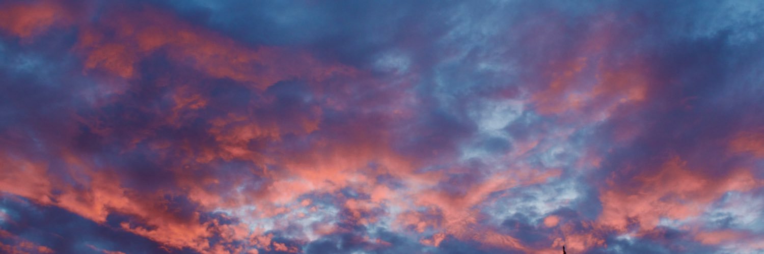Chris Tee banner