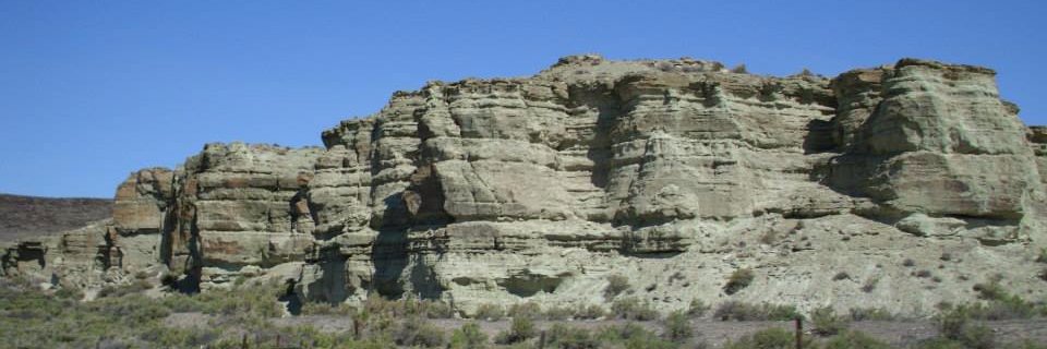LaurieBee's profile banner image