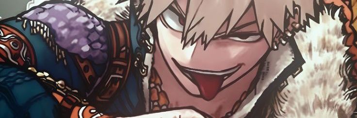 noa banner
