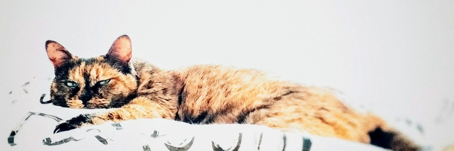 Ionlytrustcats's profile banner image