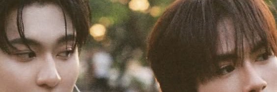 Shasha banner