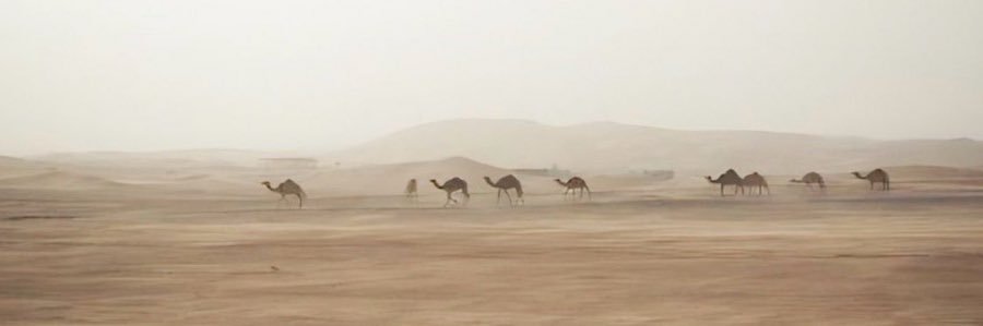RAGHAD banner