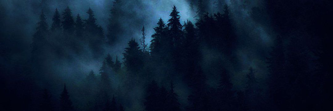 Синий Туман banner