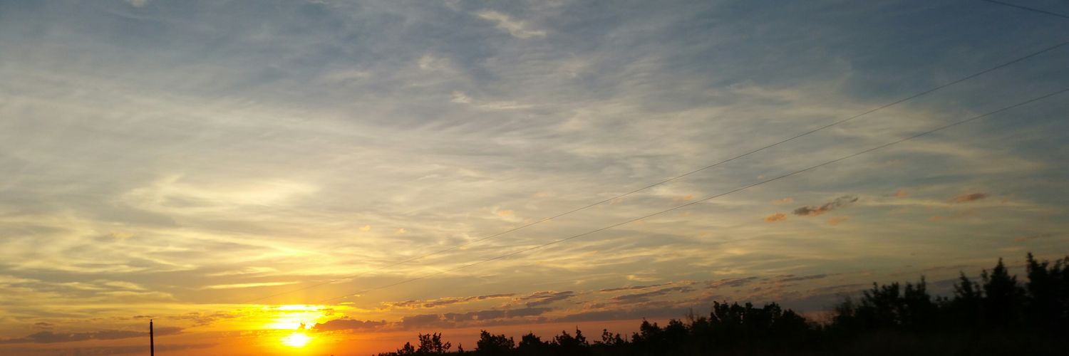 FireByrd10's profile banner image