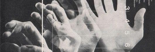 bárbara rosa banner