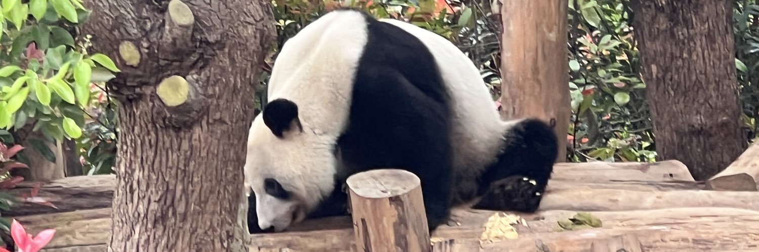 はるとLiyuexuan banner